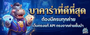 ฮิปโป777 ทางเข้า